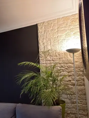 aménagement van Vieillevigne-5