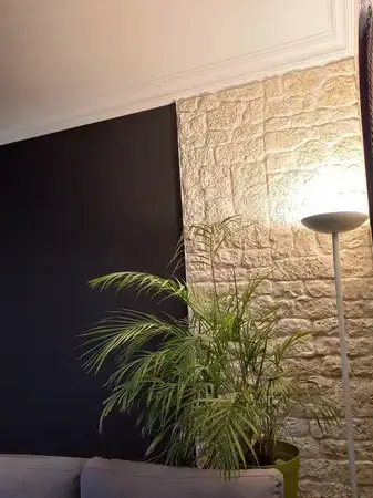 enduiseur à Bellevigny - image 4