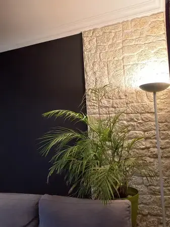 enduiseur à Clisson - image 2