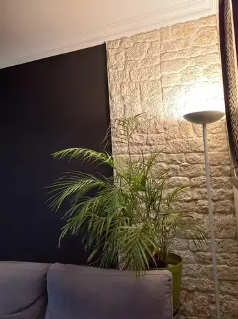 enduiseur à La Bruffière - image 4