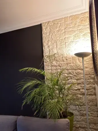 enduiseur à La Gaubretière - image 2