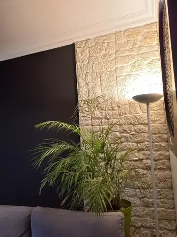 enduiseur Vieillevigne-5