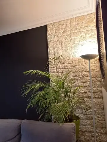 peintre en bâtiment à Bellevigny - image 2