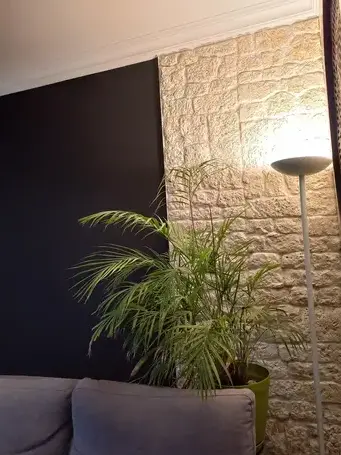 peintre en bâtiment Chauché-5