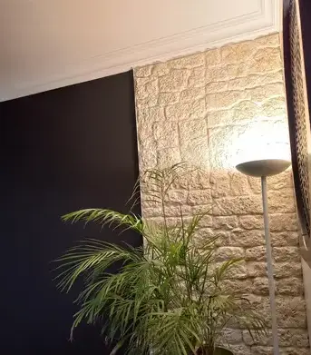 peintre en bâtiment Clisson-1