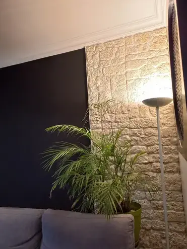 peintre en bâtiment à Vertou - image 2