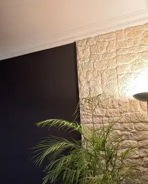 peintre en bâtiment Vieillevigne-5