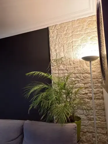 pose de parquet Chauché-1