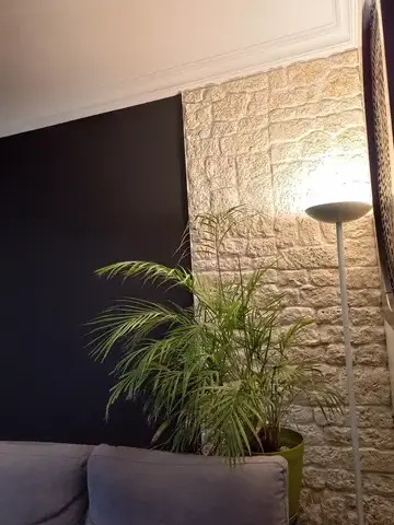 pose de parquet à Vieillevigne - image 4