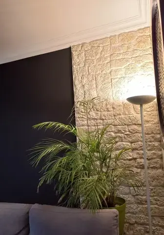 tapissier Vieillevigne-5